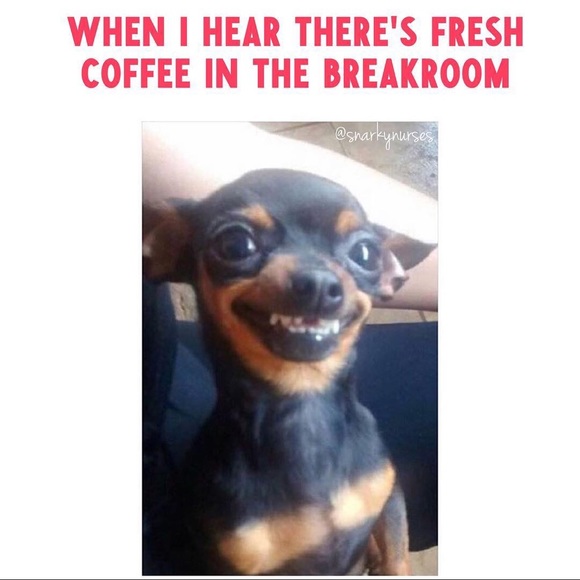 Meet your Posher, Satah - Picture 1 of 1